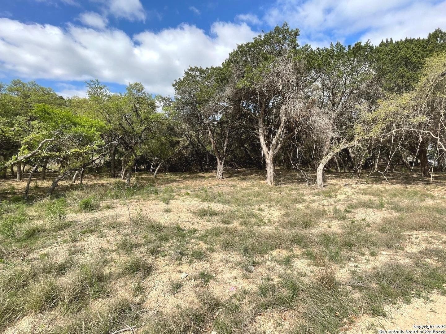 0.35 acres in Bandera County - photo 2