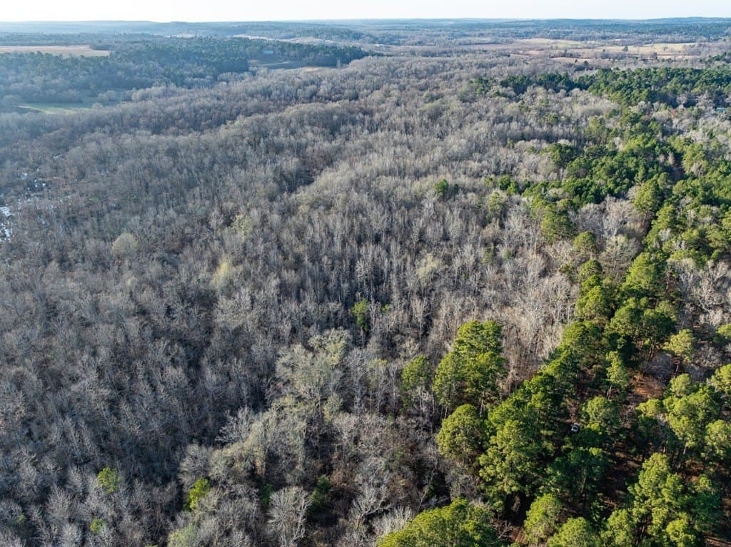 20 acres in ANDERSON County - photo 6