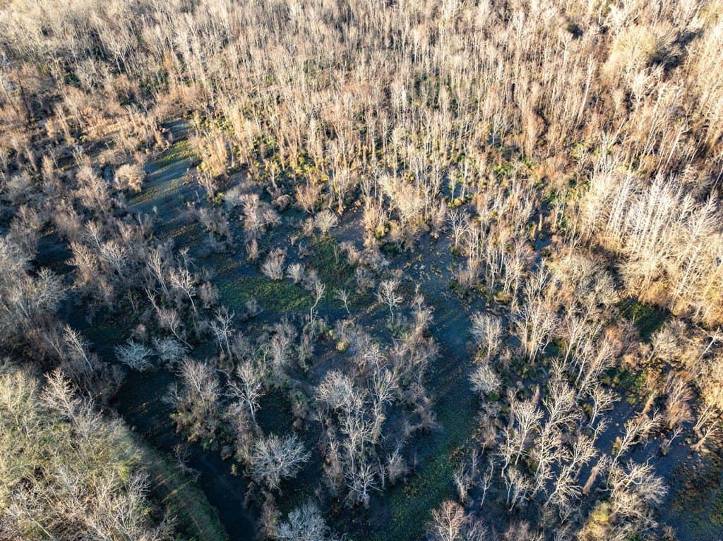 20 acres in ANDERSON County - photo 3