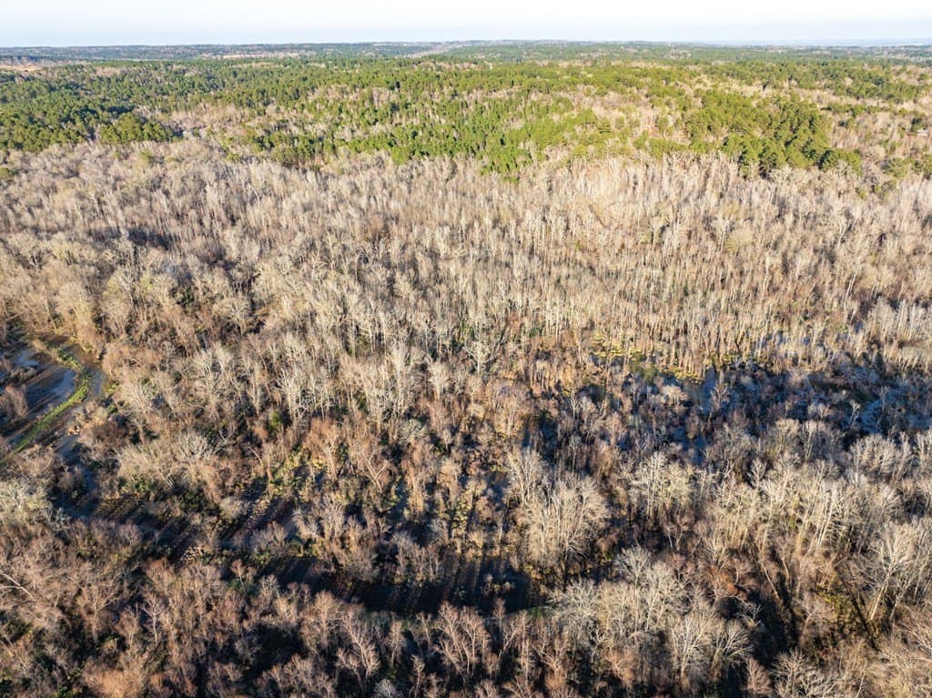 20 acres in ANDERSON County - photo 2