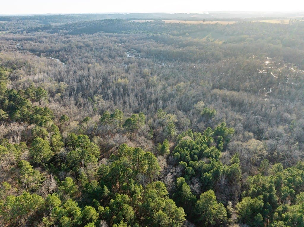 20 acres in ANDERSON County - photo 5