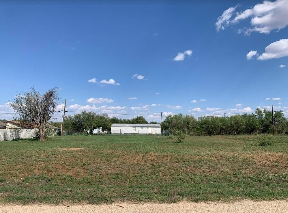0.33 acres in Taylor County - photo 2