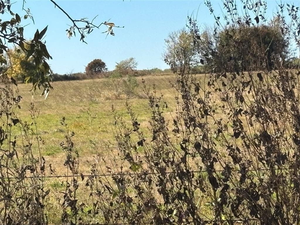 13.85 acres in Grayson County - photo 3