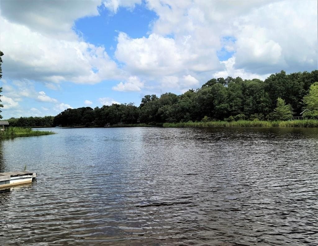 0.18 acres in Van Zandt County - photo 10