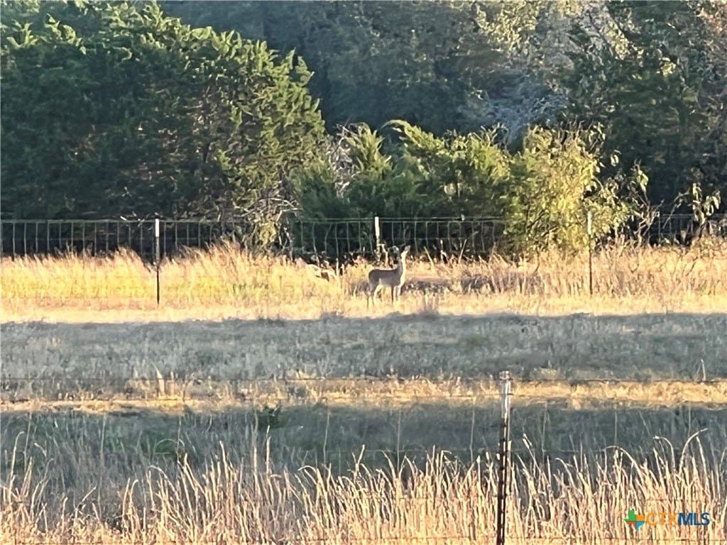 2.8 acres in Lampasas County - photo 3