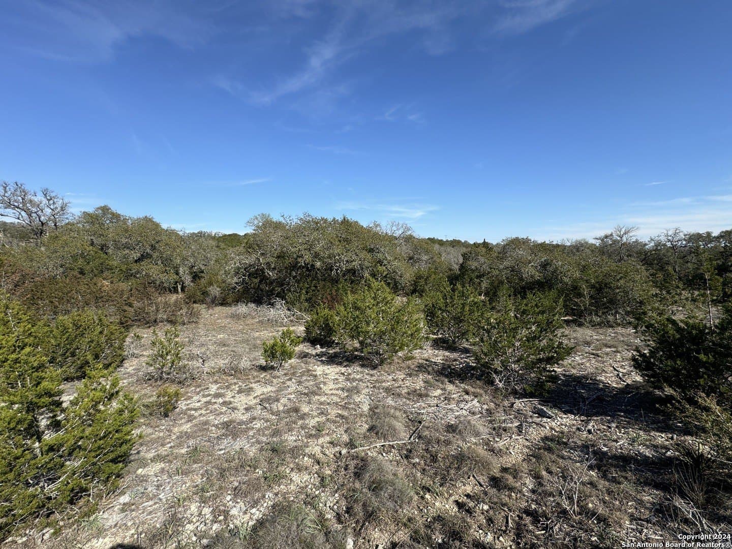 12.09 acres in Blanco County - photo 5