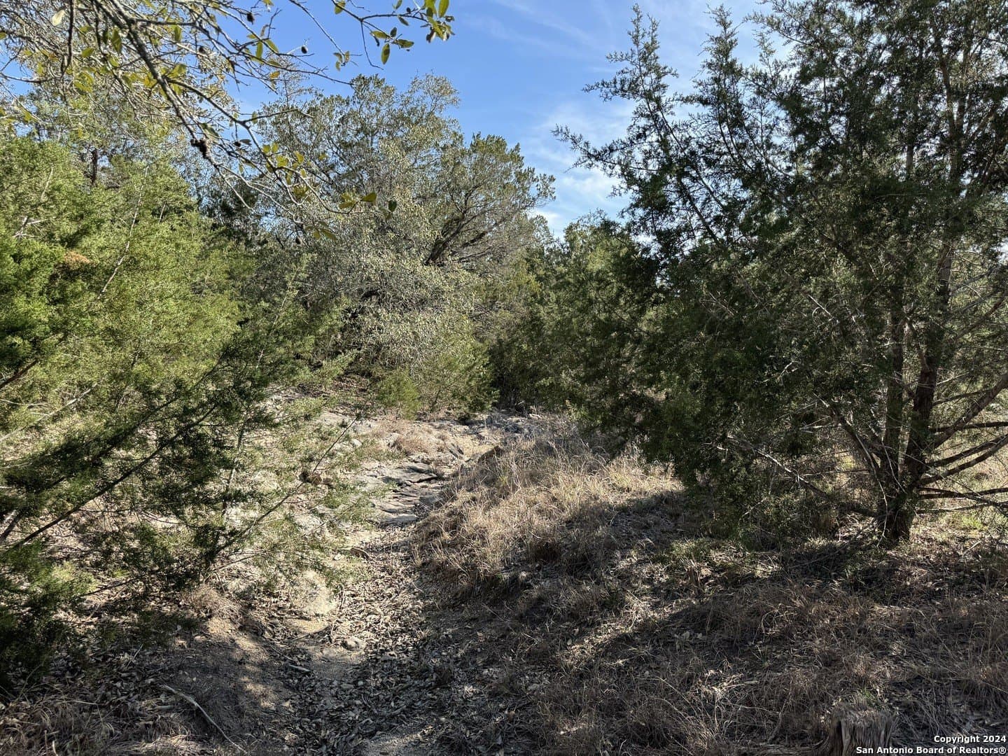 12.09 acres in Blanco County - photo 2