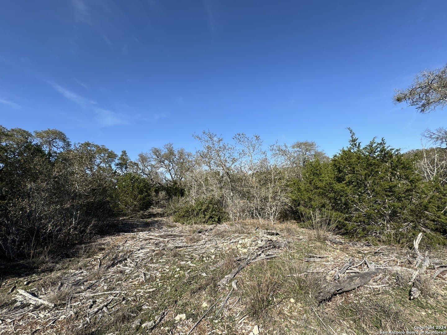 12.09 acres in Blanco County - photo 3