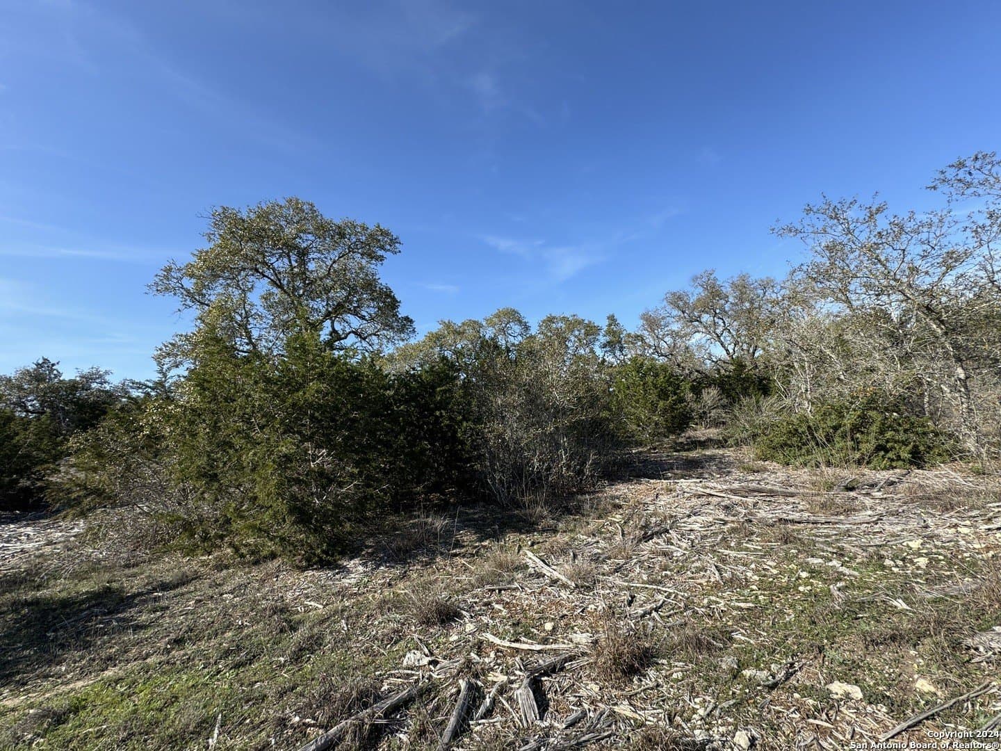 12.09 acres in Blanco County - photo 4