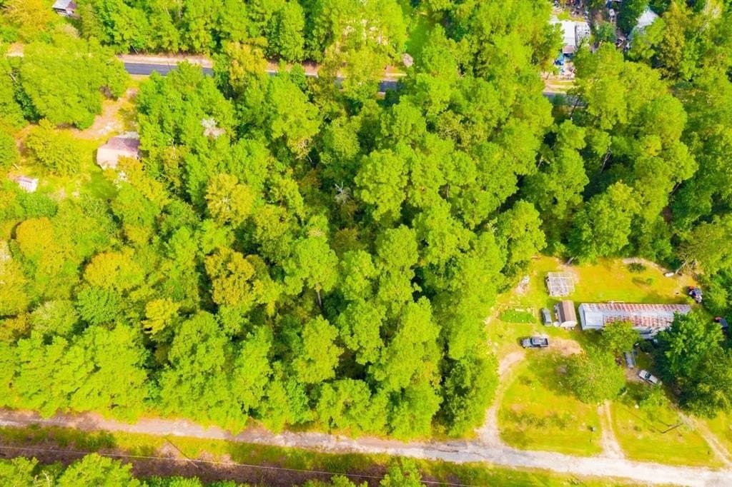 0.2 acres in Tyler County - photo 12
