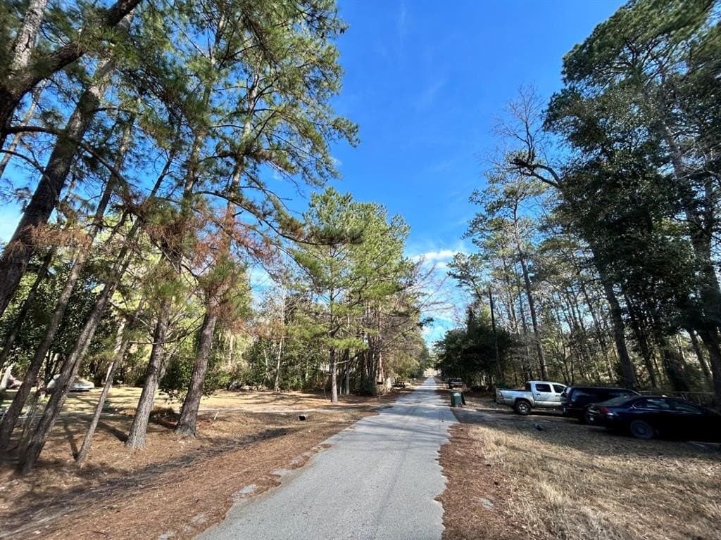 0.2 acres in Tyler County - photo 4