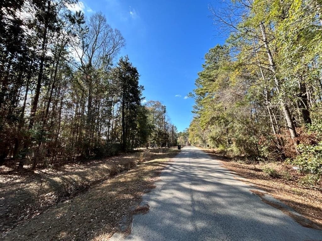 0.2 acres in Tyler County - photo 7