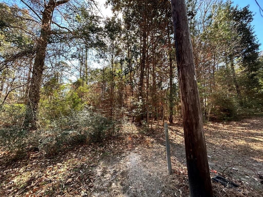 0.2 acres in Tyler County - photo 2