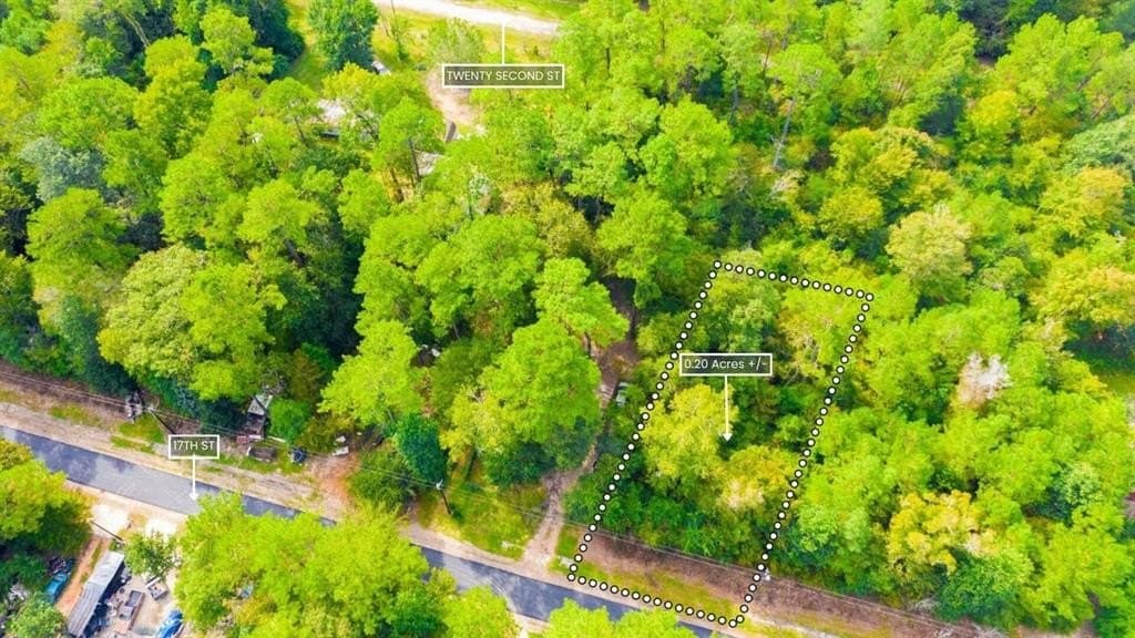 0.2 acres in Tyler County - photo 8