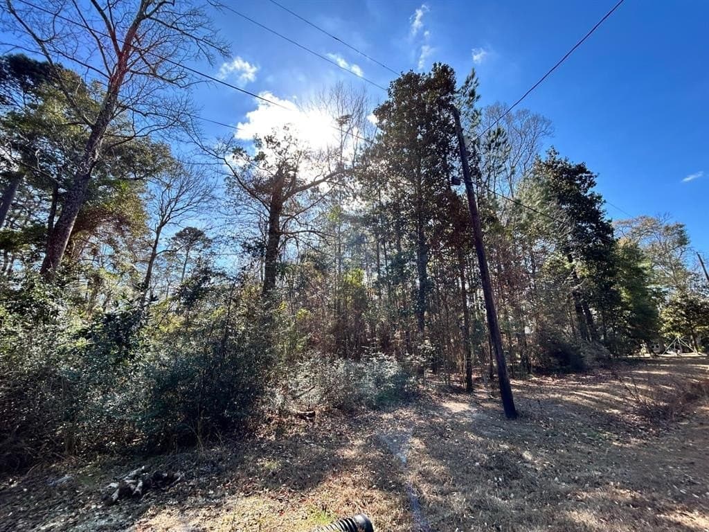 0.2 acres in Tyler County - photo 6