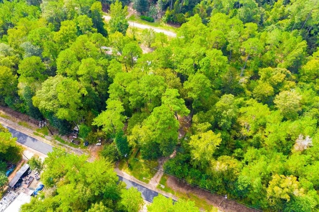 0.2 acres in Tyler County - photo 21