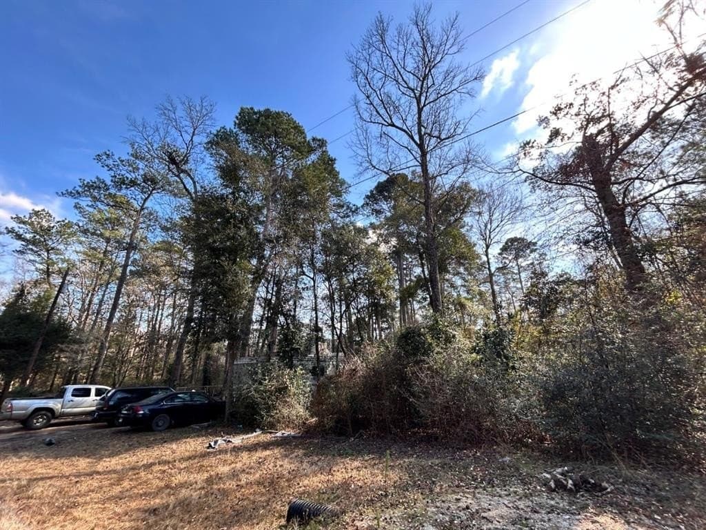 0.2 acres in Tyler County - photo 5