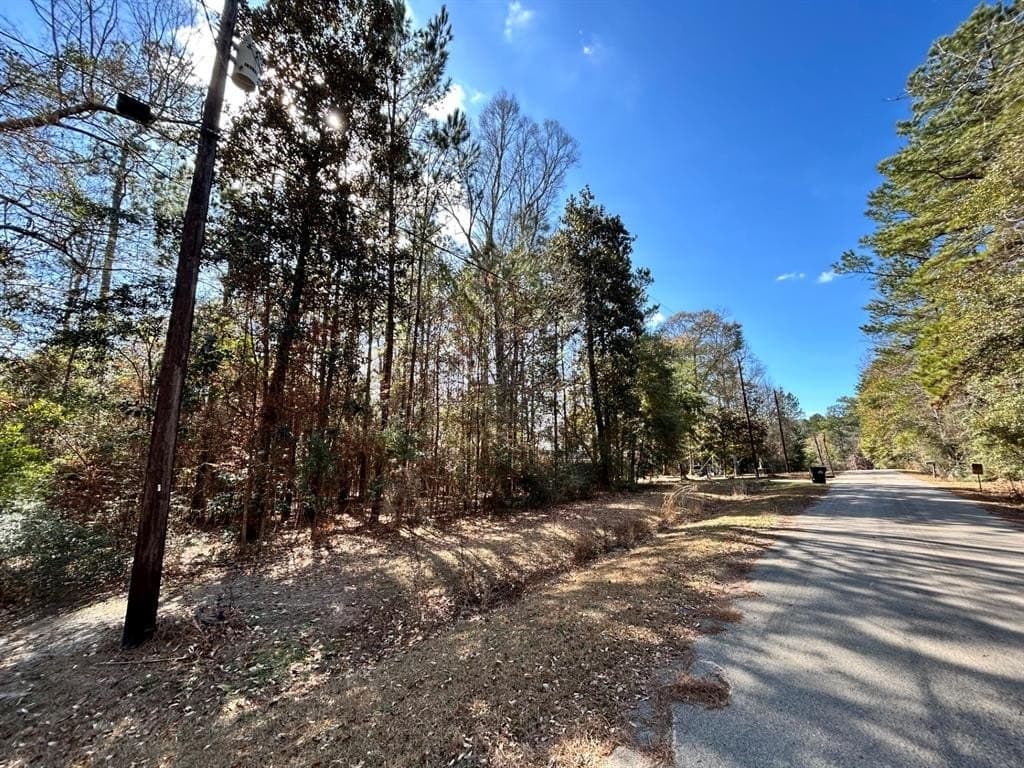 0.2 acres in Tyler County - photo 3