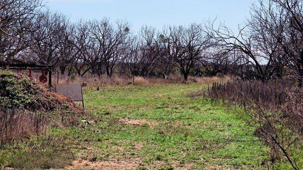 123 acres in McCulloch County - photo 52