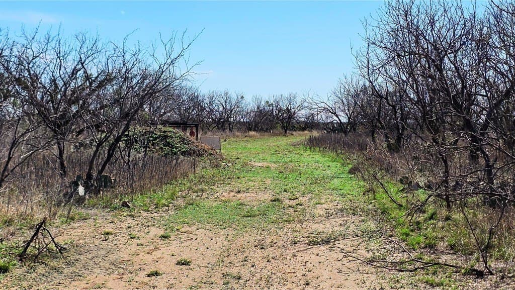 123 acres in McCulloch County - photo 53