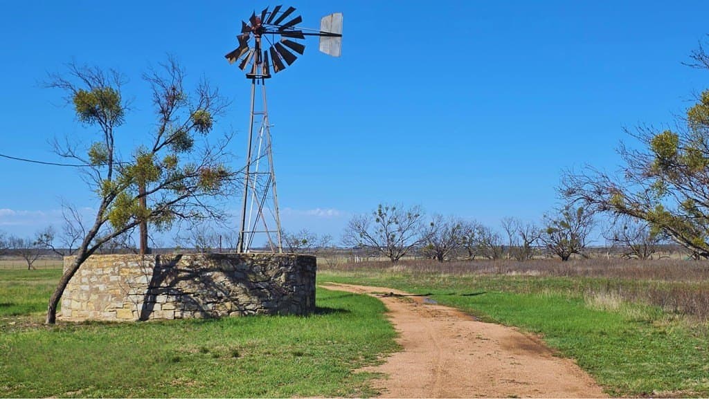 123 acres in McCulloch County - photo 16