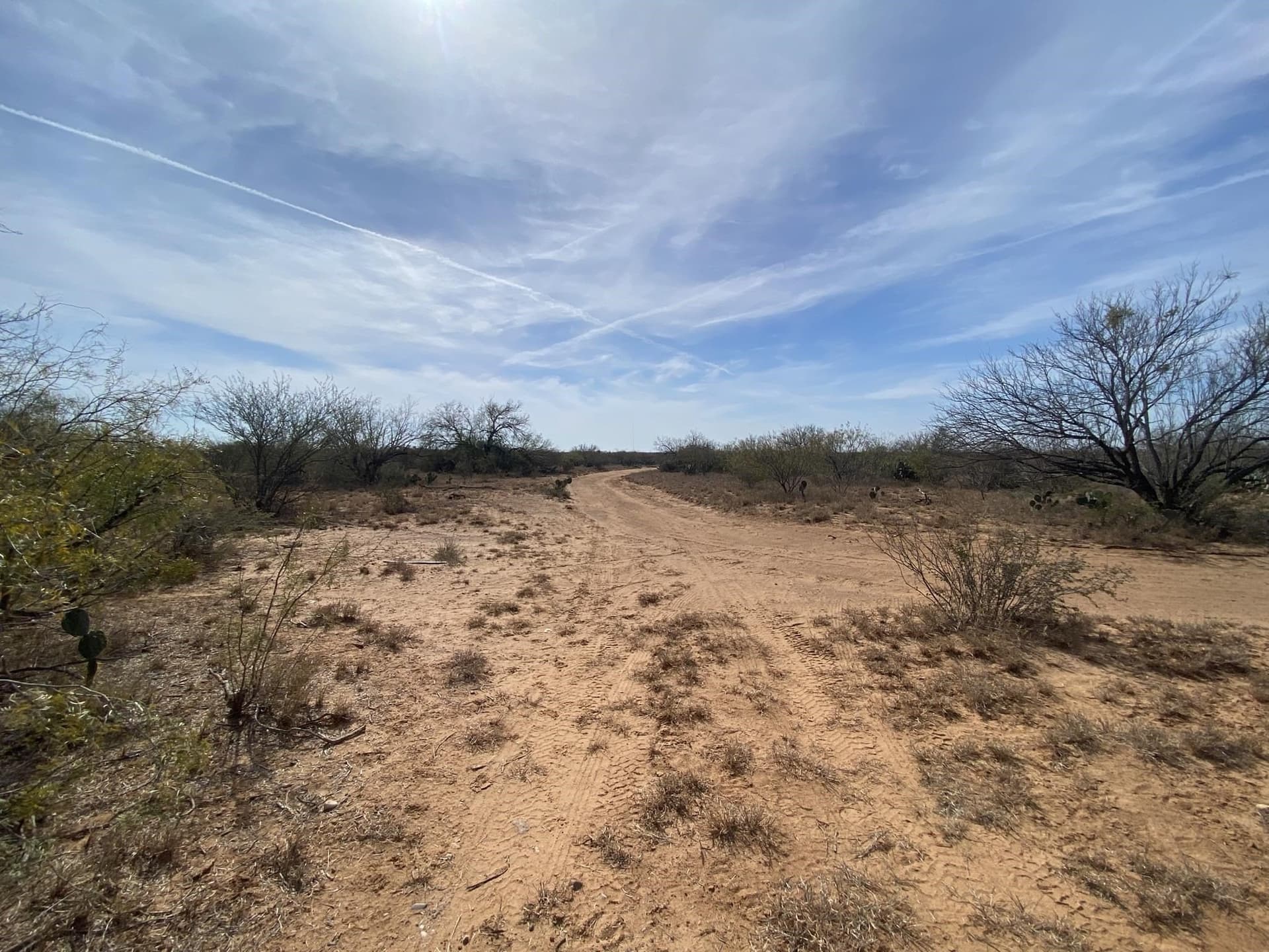 805 acres in Webb County - photo 11