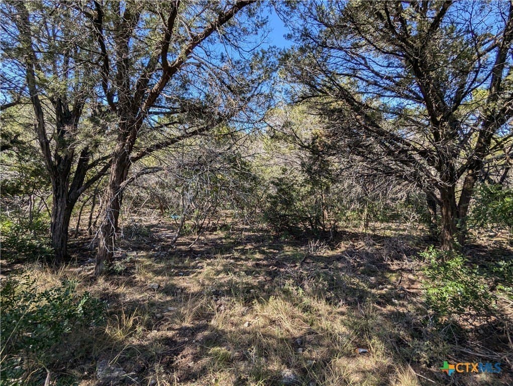 0.85 acres in Bell County - photo 5