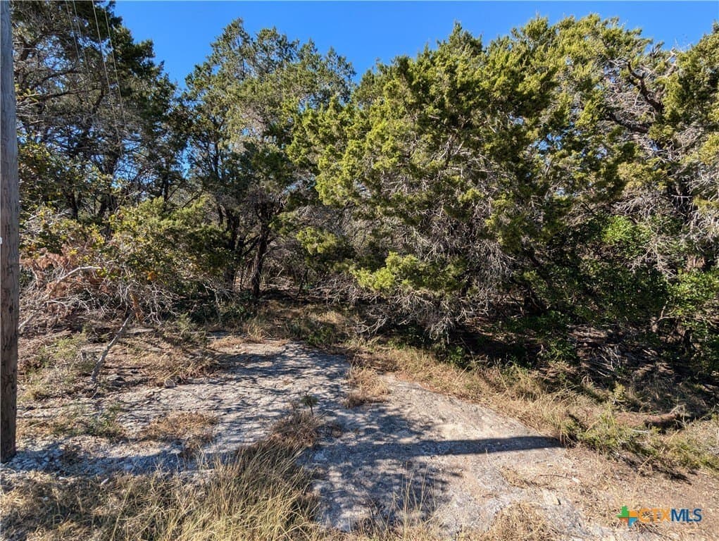 16023 & 16029 Brazos Drive lot: 537
