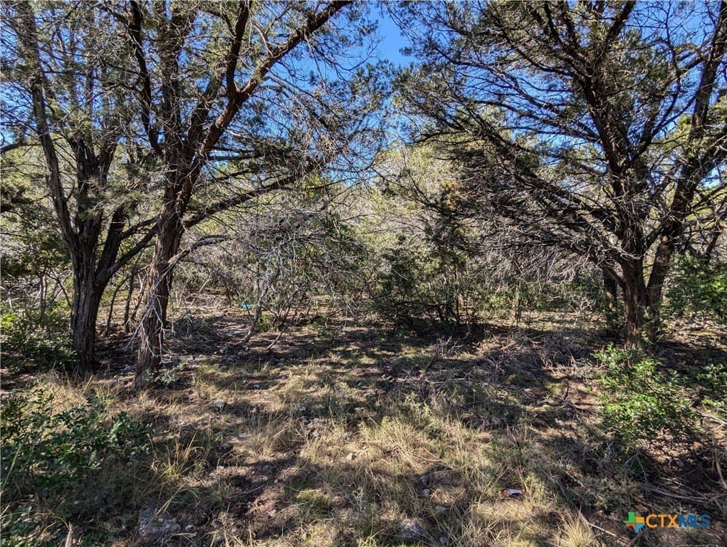0.85 acres in Bell County - photo 6