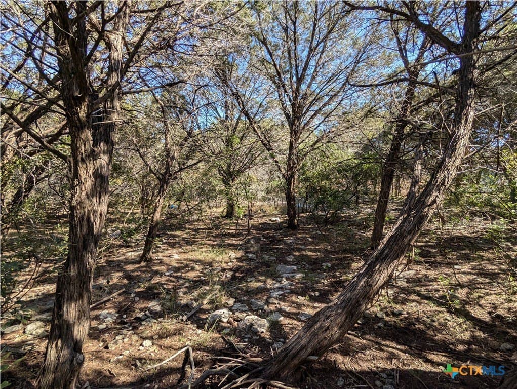 0.85 acres in Bell County - photo 7