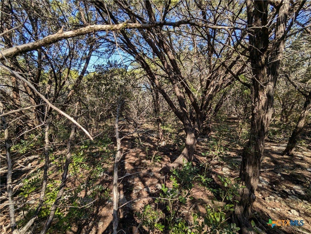 0.85 acres in Bell County - photo 3