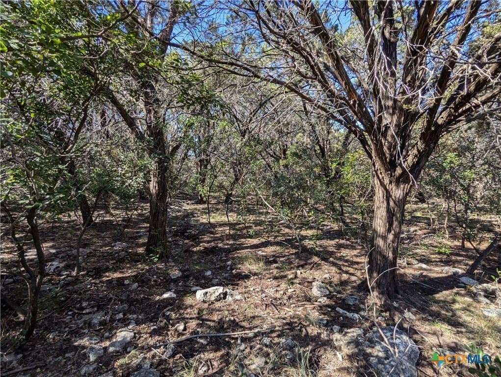 0.85 acres in Bell County - photo 4