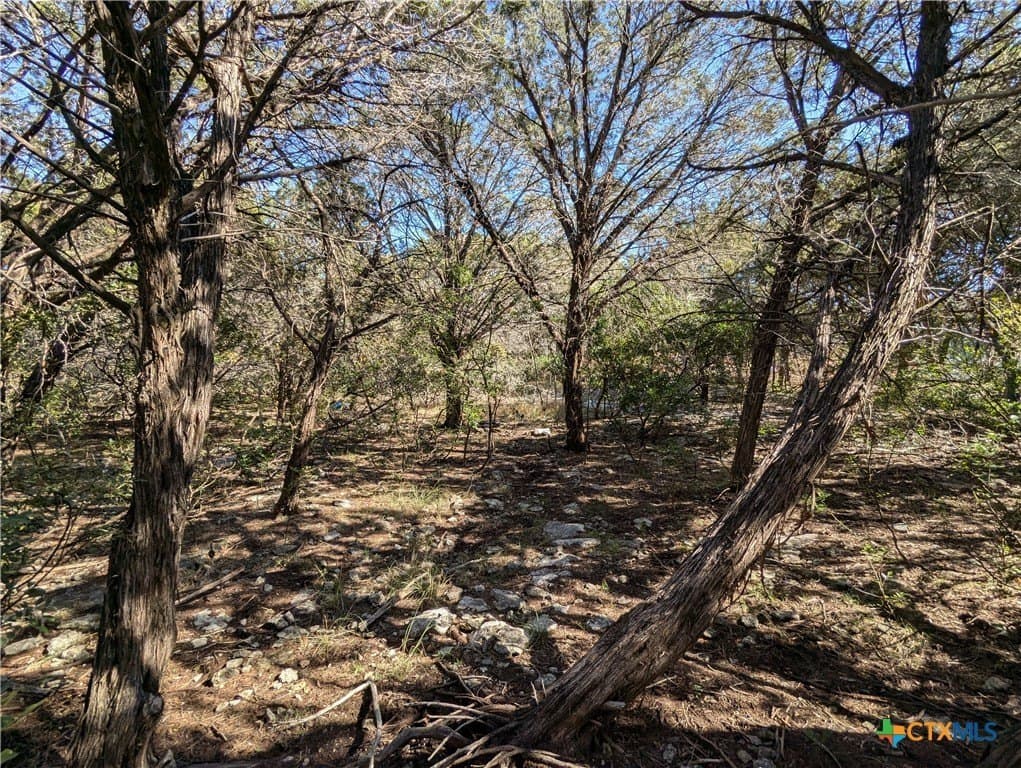 0.85 acres in Bell County - photo 2
