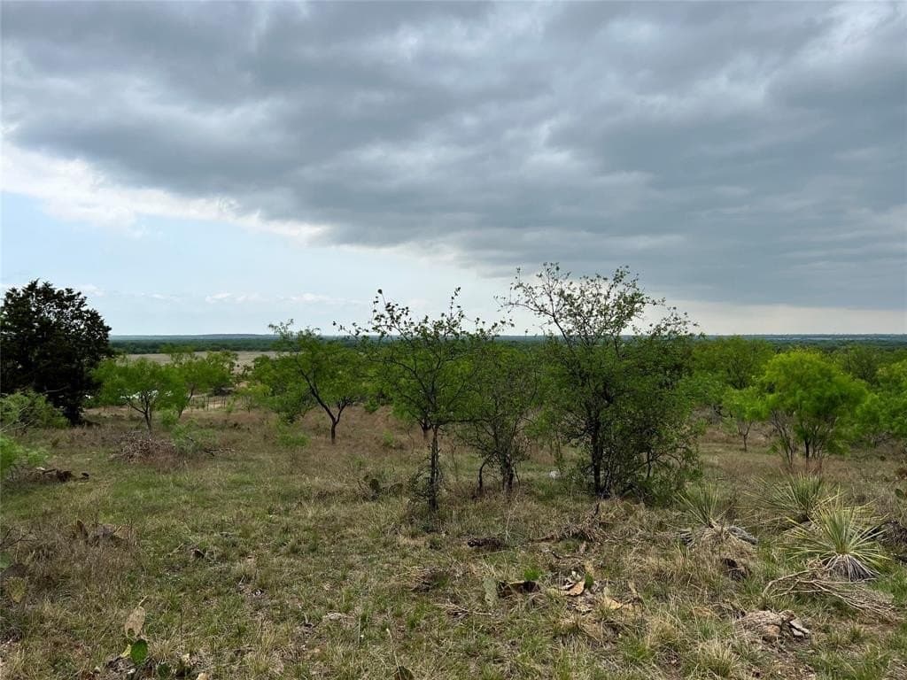 157.78 acres in Comanche County - photo 4