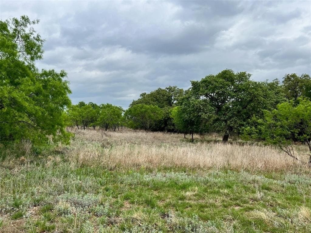 157.78 acres in Comanche County - photo 7