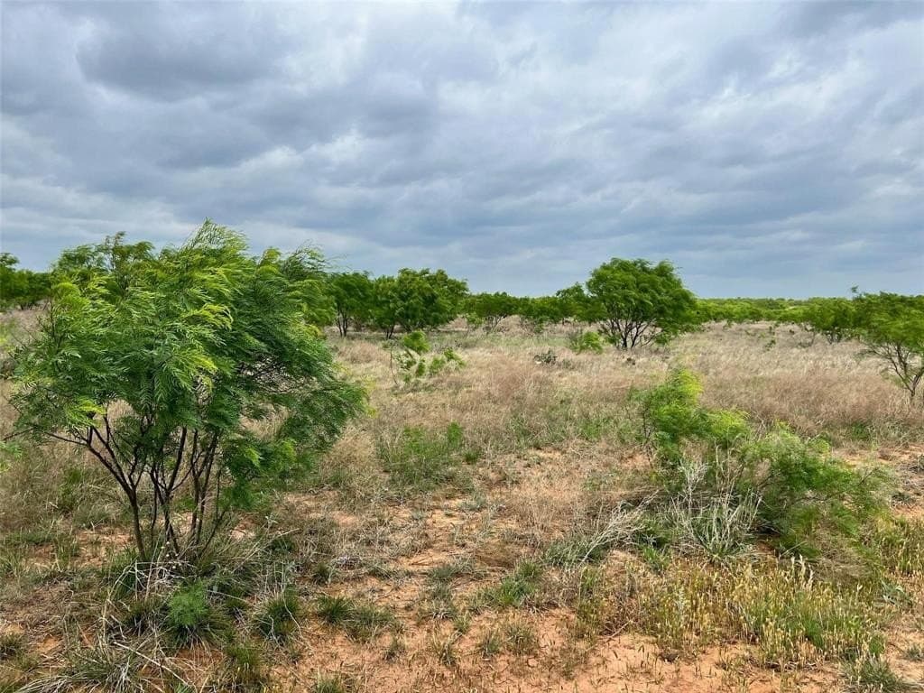 157.78 acres in Comanche County - photo 5