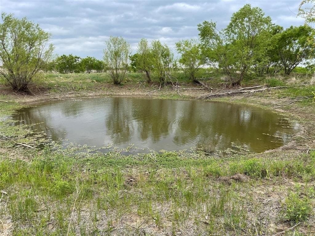 157.78 acres in Comanche County - photo 6
