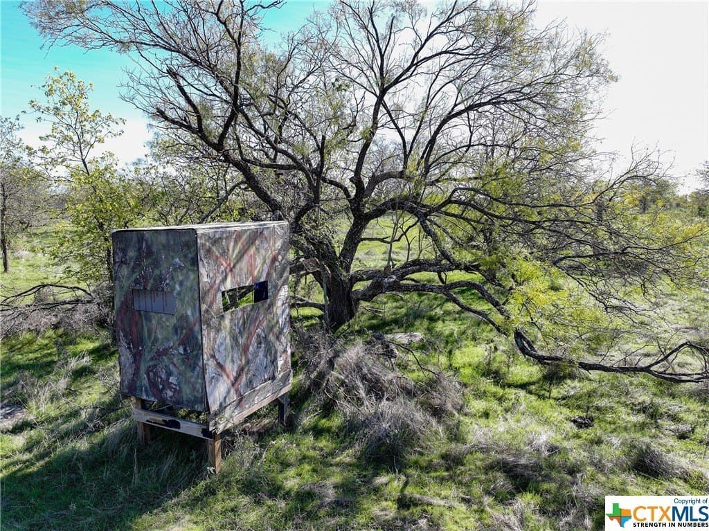 120 acres in Bell County - photo 3