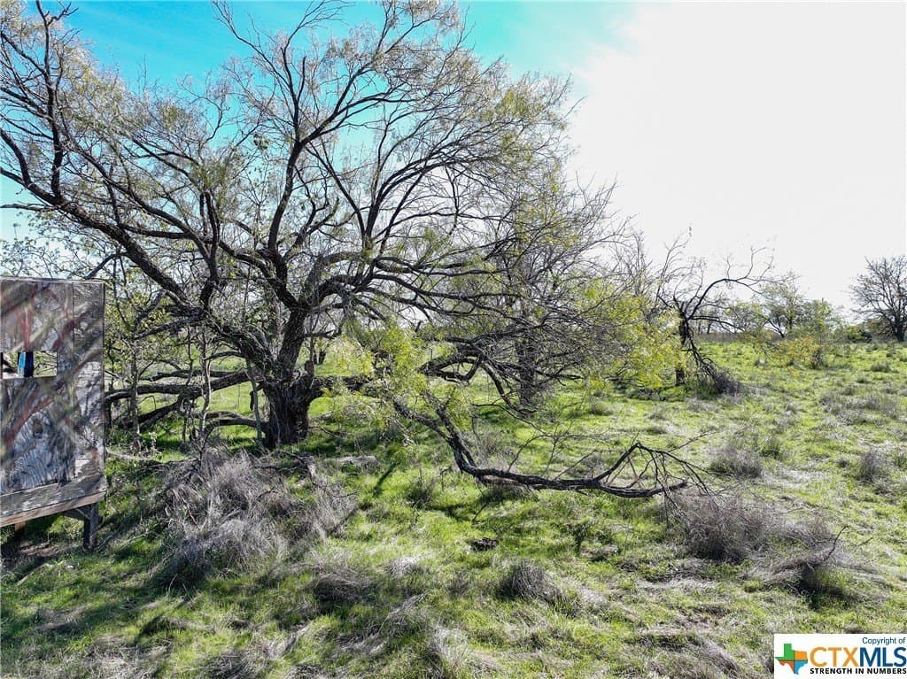 120 acres in Bell County - photo 2