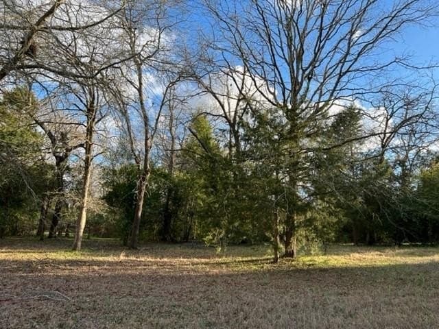 0.53 acres in Wood County - photo 4