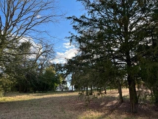 0.53 acres in Wood County - photo 3
