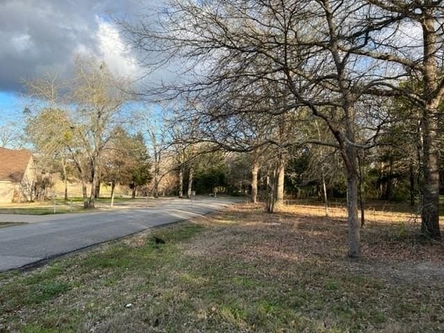 0.53 acres in Wood County - photo 6