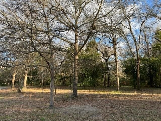 0.53 acres in Wood County - photo 5