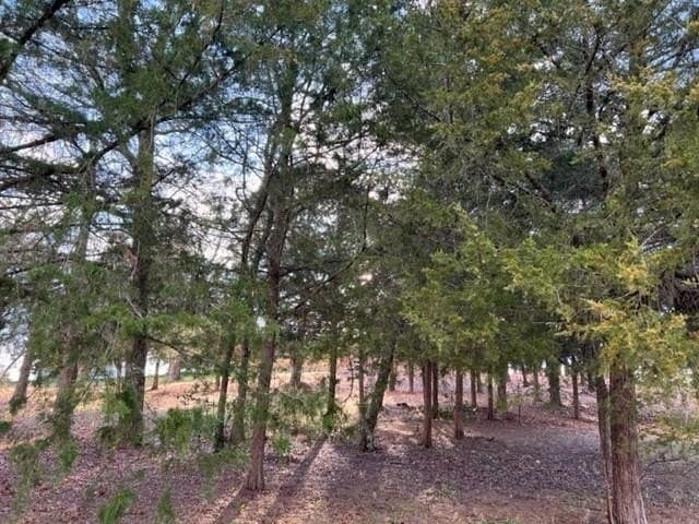 0.53 acres in Wood County - photo 8