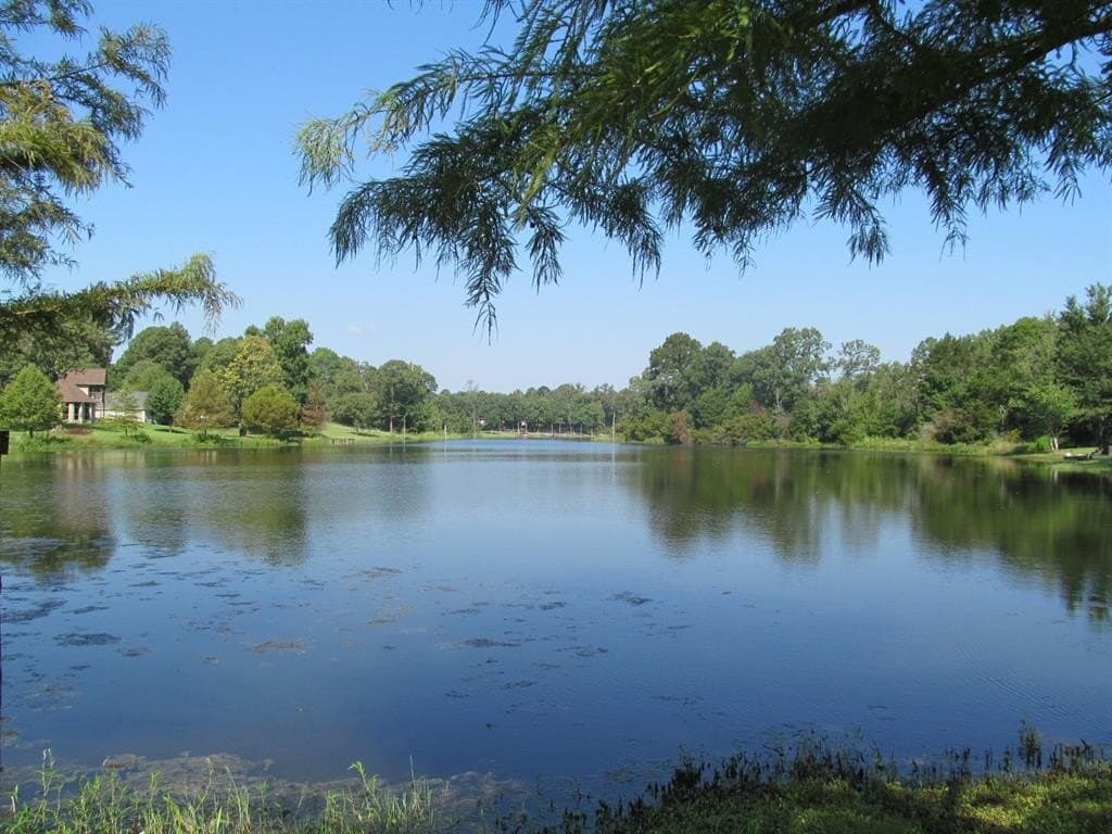 0.53 acres in Wood County - photo 2