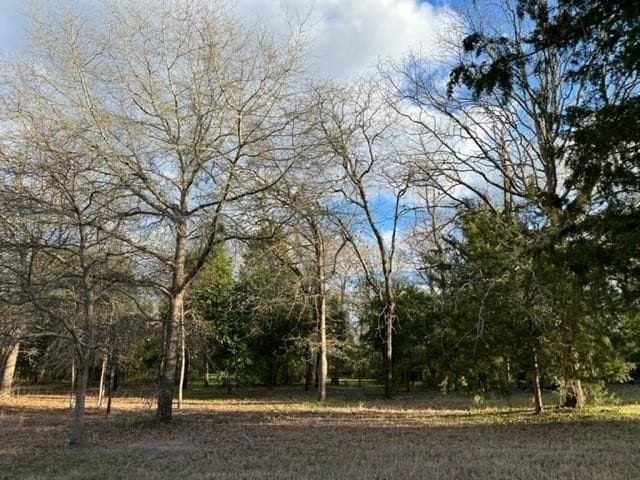 0.53 acres in Wood County - photo 9