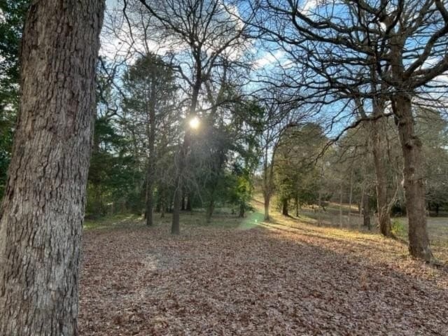 0.53 acres in Wood County - photo 10