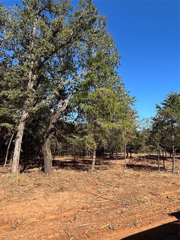 0.12 acres in Cooke County - photo 24