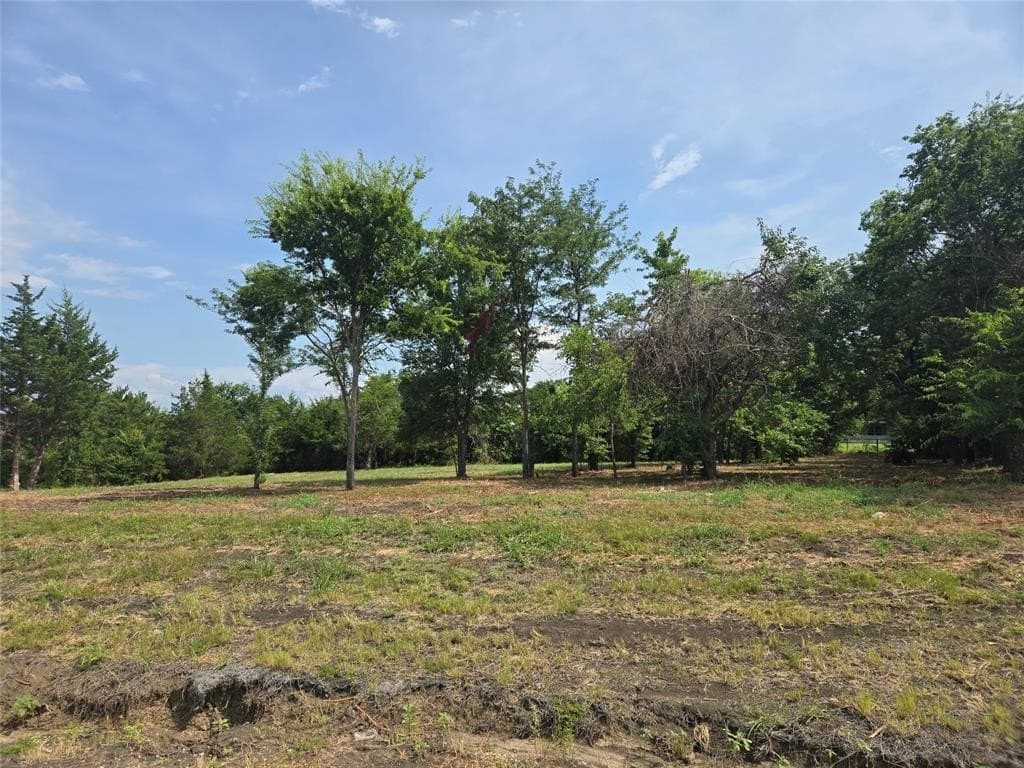 0.12 acres in Cooke County - photo 4