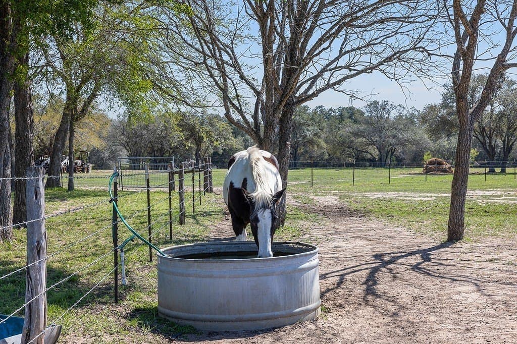 22.65 acres in Lavaca County - photo 27